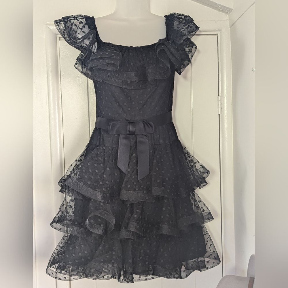 VTG Scaasi Boutique 6 Tulle Polka Dot Ruffle Dress Whimisigoth Fairy Formal